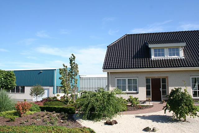 IMG 0357 800x533