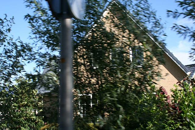 IMG 0376 800x533