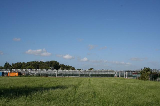 IMG 0377 800x533