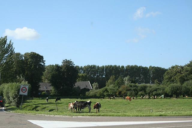IMG 0379 800x533