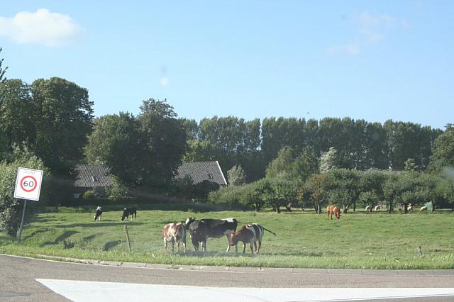 IMG 0380 800x533