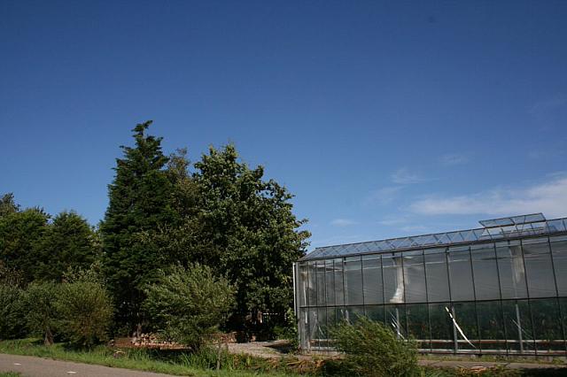 IMG 0383 800x533