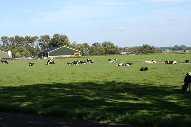 IMG 0389 800x533