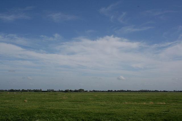 IMG 0395 800x533