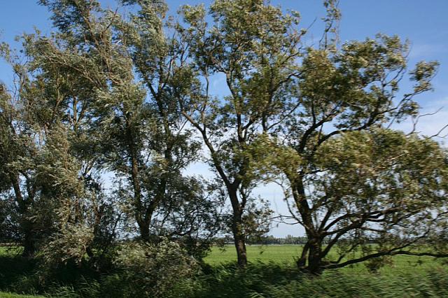 IMG 0397 800x533