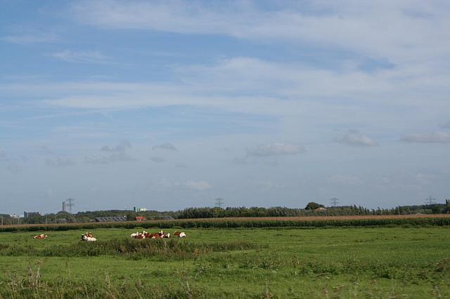 IMG 0398 800x533