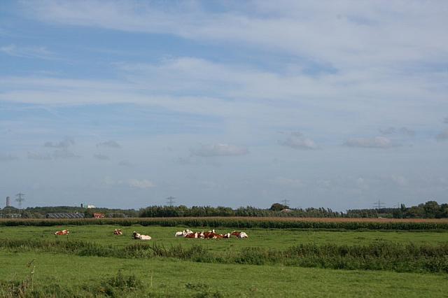 IMG 0399 800x533