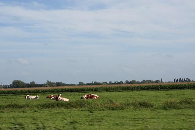 IMG 0401 800x533