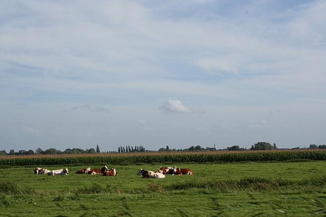 IMG 0402 800x533