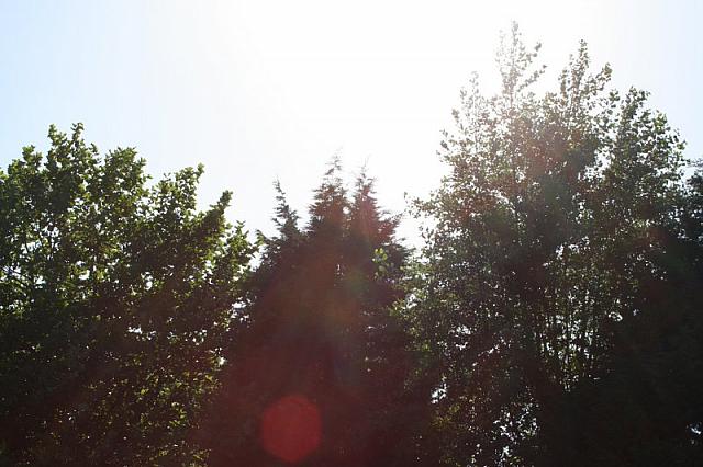 IMG 0419 800x533