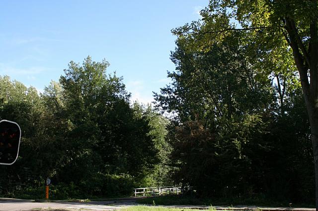 IMG 0421 800x533