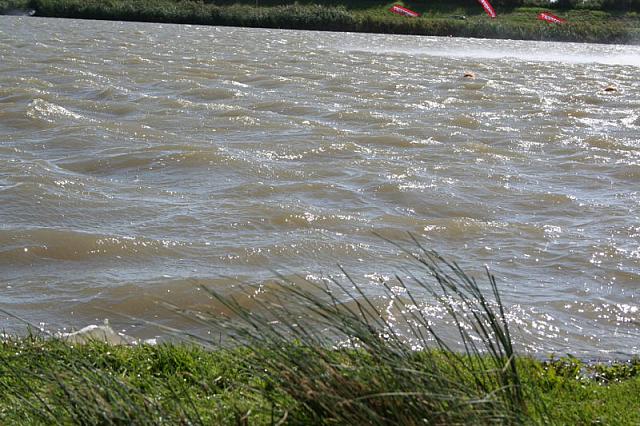 IMG 0044 800x533