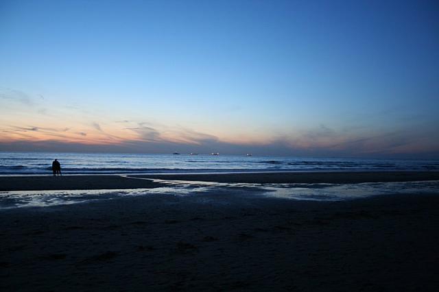 IMG 0079 800x533