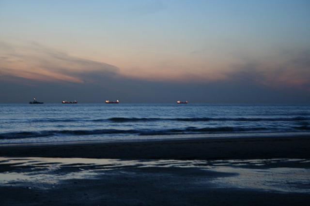 IMG 0081 800x533