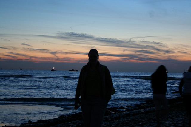 IMG 0085 800x533