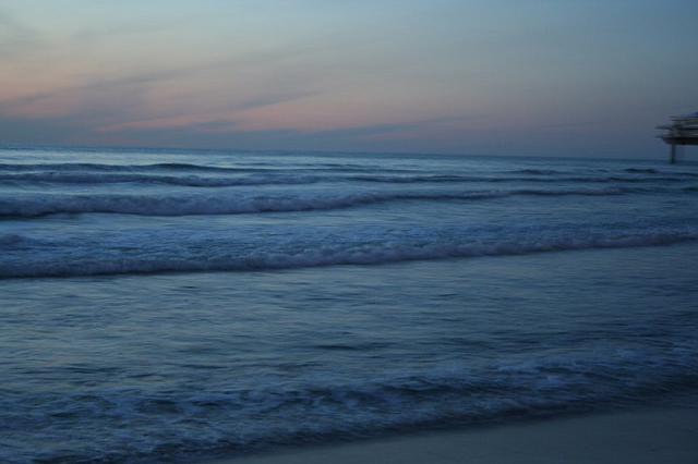 IMG 0087 800x533