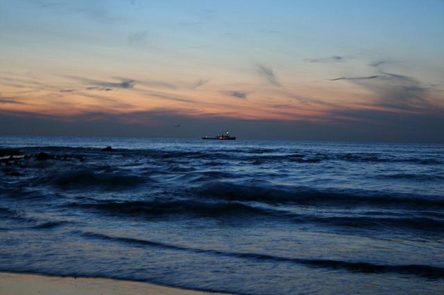 IMG 0090 800x533