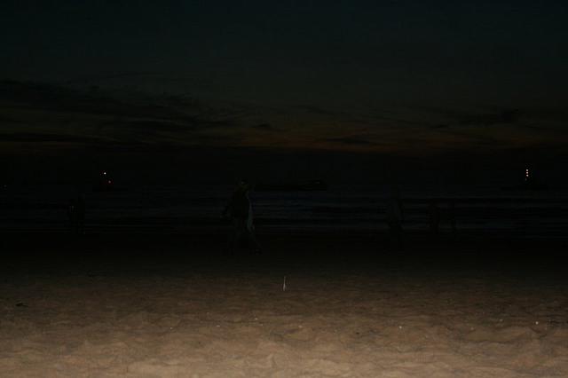 IMG 0100 800x533