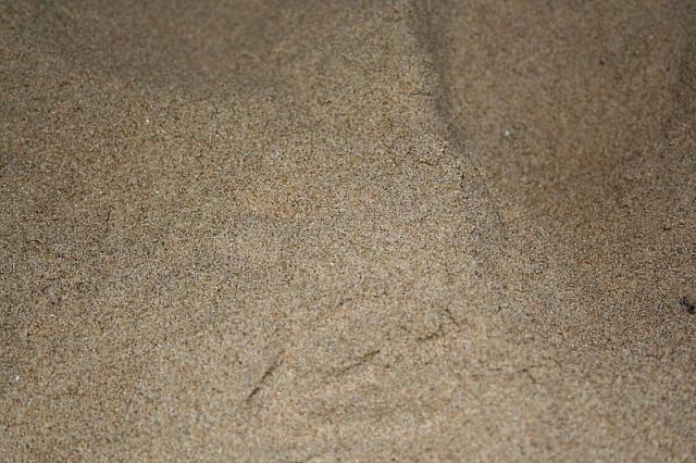 IMG 0101 800x533
