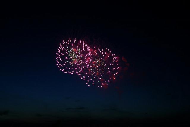 IMG 0118 800x533
