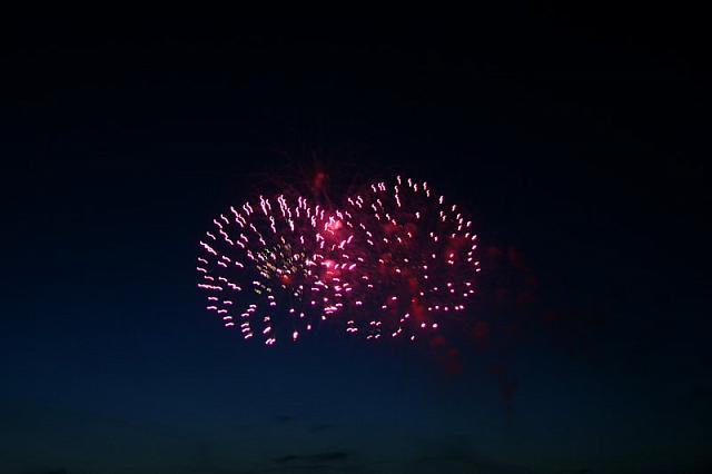 IMG 0119 800x533