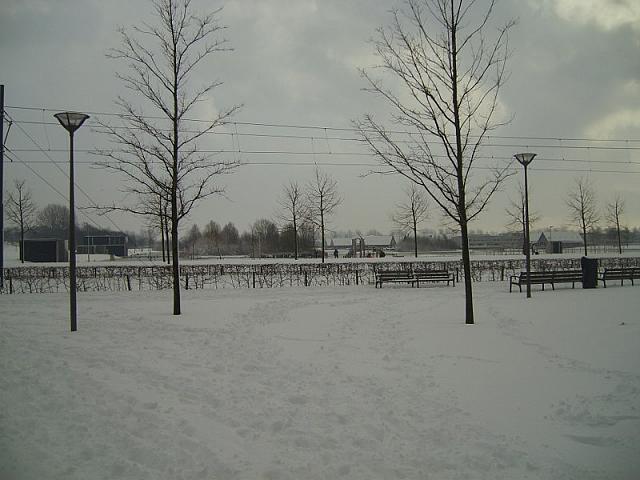 S6000333 800x600