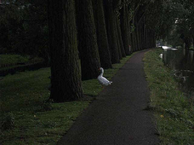 fuji a220 022 800x600