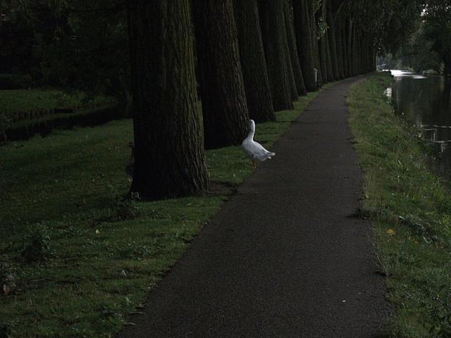fuji a220 023 800x600