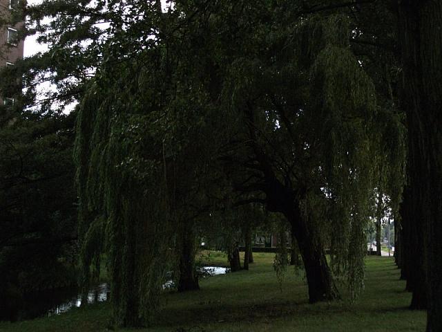 fuji a220 031 800x600