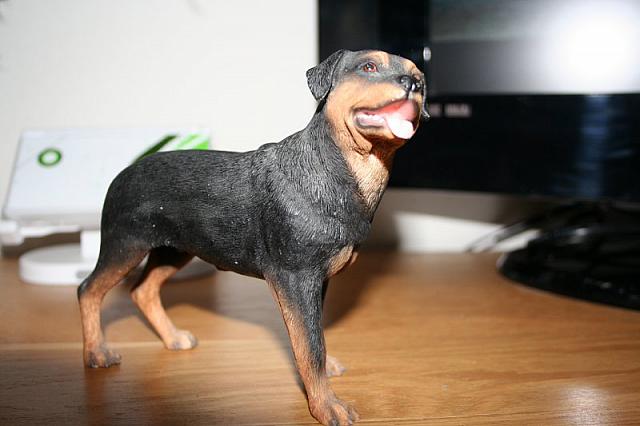 zooi 2 011 800x533