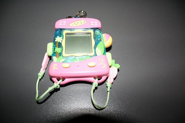 zooi 3 026 800x533
