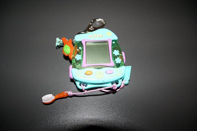 zooi 3 027 800x533