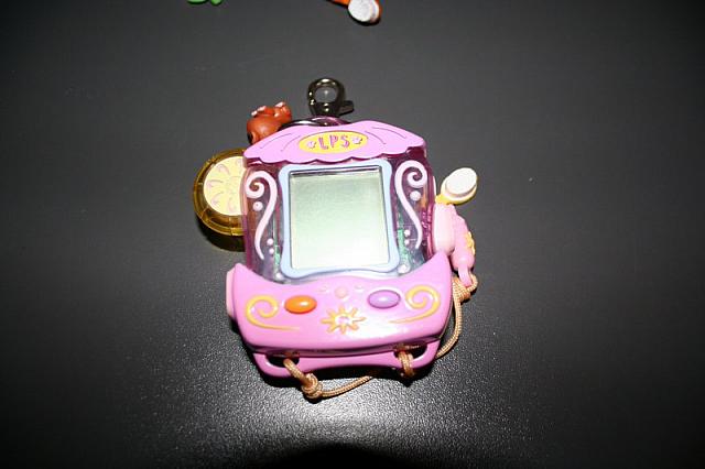 zooi 3 028 800x533