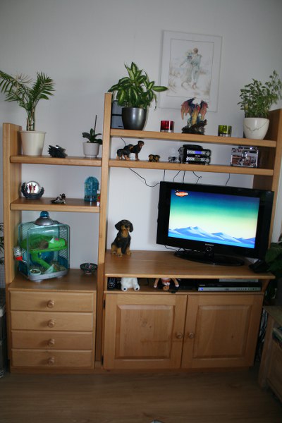 20090316 16 400x600