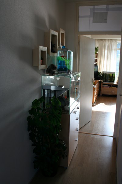 20090729 06 400x600