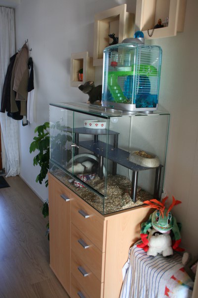 20090729 08 400x600