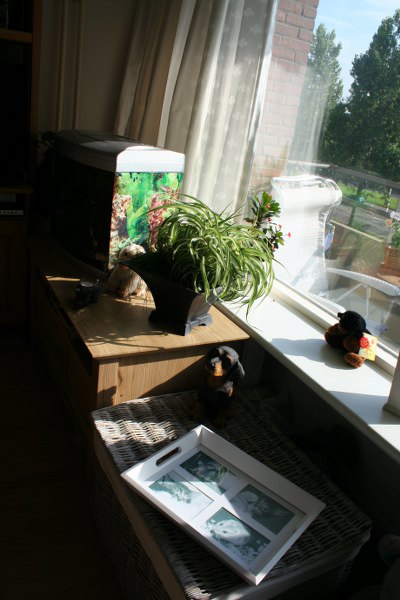 20090729 16 400x600