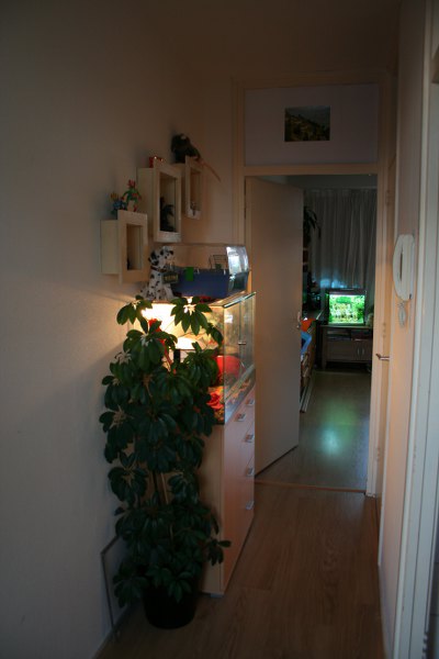 huisie 16-6 024 400x600