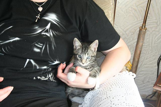 20090518 19 800x533