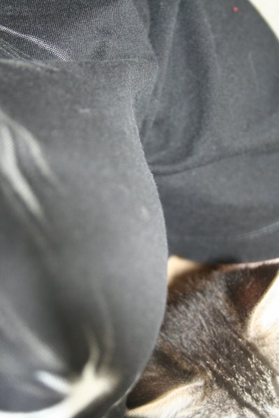 20090518 21 400x600