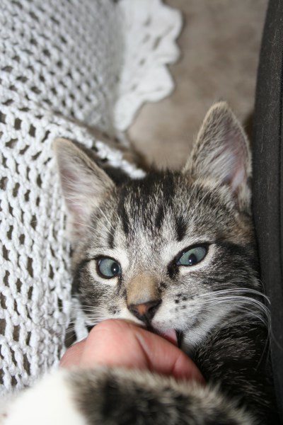 20090518 27 400x600