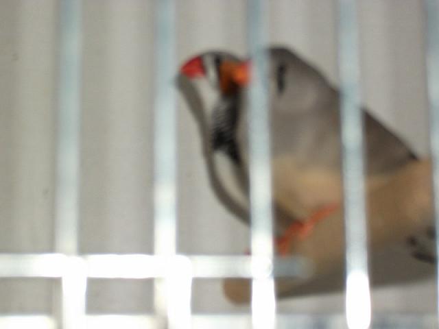 DSCF0187 800x600