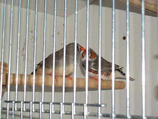 DSCF0190 800x600
