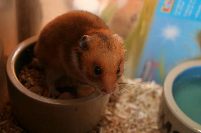 IMG 0084 800x533