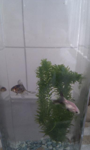 IMAG0646.jpg