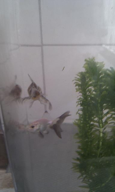 IMAG0651.jpg