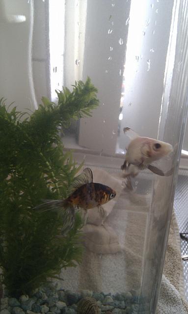 IMAG0653.jpg