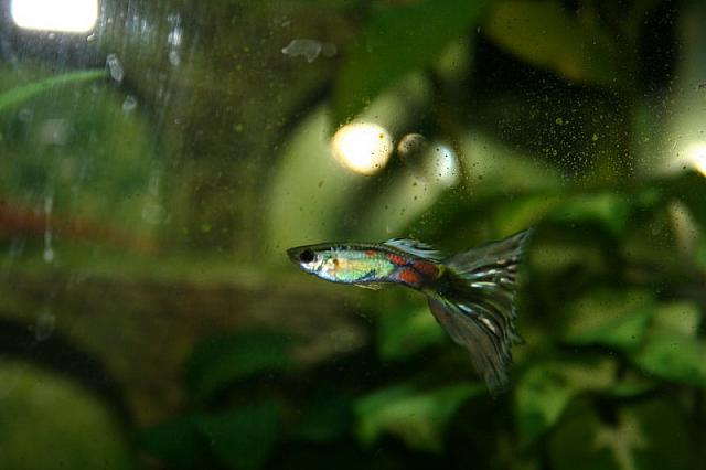 zooi 019 800x533