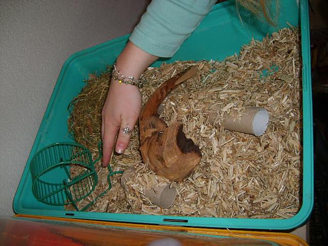 Hokje klaarmaken 800x600