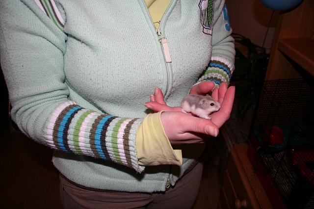 IMG 0024 800x533